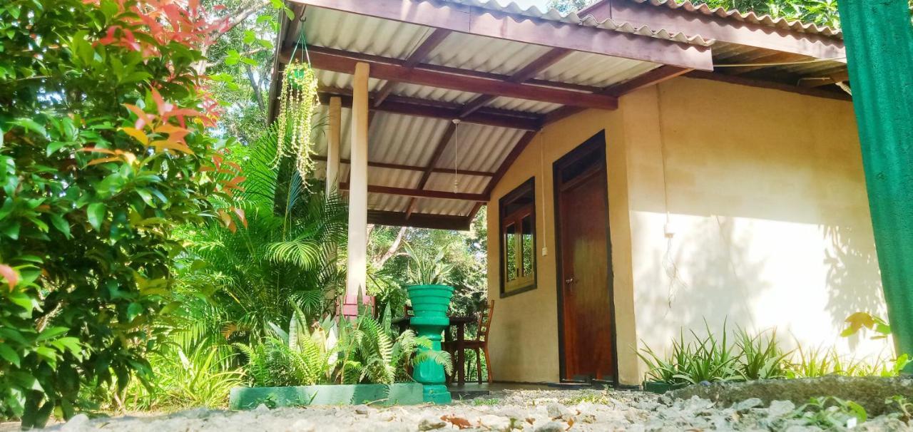 Joshua'S Cottage Sigirîya Extérieur photo